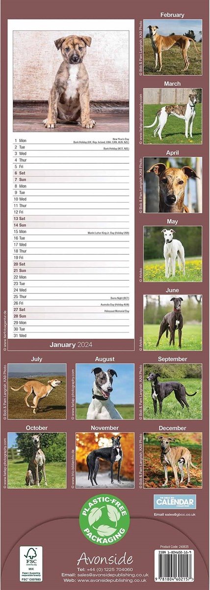 Greyhound Kalender 2024 Slimline