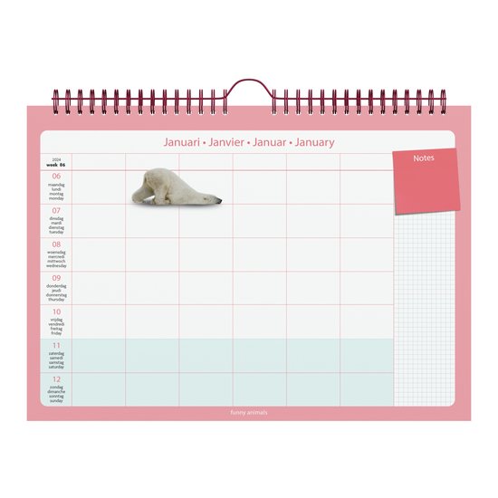 Lannoo Graphics - Calendrier familial - Calendrier familial - 2024 - SALADE  EN PAPIER