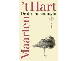 Omslag van De droomkoningin