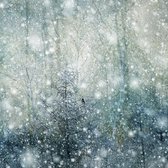 Kerst Art Revisited kaartenset Saskia Boelsums - snow world 2 x 5 kaarten