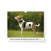 Kalender 2024 - Deens-Zweedse Boederijhond - 35x24cm - 300gms - Spiraalgebonden - Inclusief ophanghaak