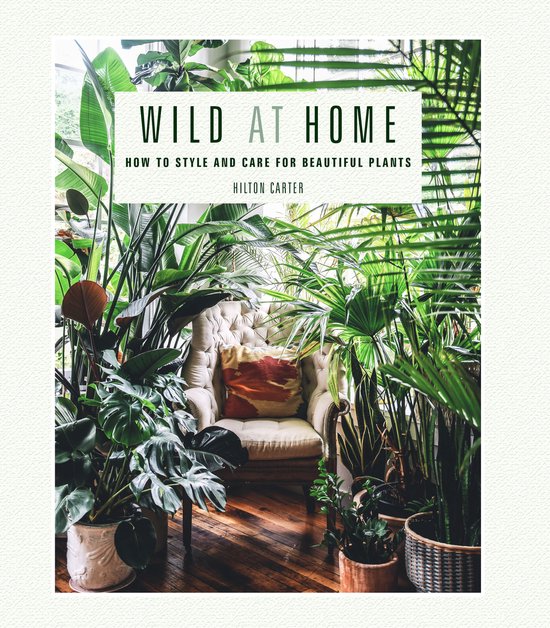Wild at Home - cover