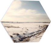 PVC Schuimplaat Hexagon - Landschap - Sneeuw - Bomen - 40x34.8 cm Foto op Hexagon (Met Ophangsysteem)