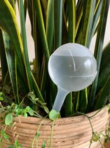 Tuinmiddelen Waterbol Bewatering - Waterdruppelaar Voor Platen - Watergeefsysteem - Automatische Druppelsysteem Voor kamerplanten en Tuin