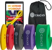 CRICKS - Weerstandsbanden Set - Incl. eBook met Oefeningen en Draagtas - Resistance Band - Fitness Elastieken - Krachttraining - Full Body Workout