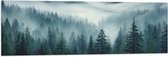Vlag - Bomen - Bossen - Mist - 120x40 cm Foto op Polyester Vlag