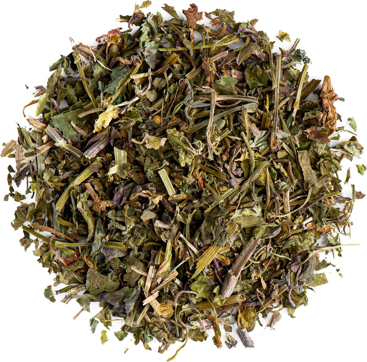 Hondsdraf Thee Bio Kwaliteit - Glechoma Hederacea