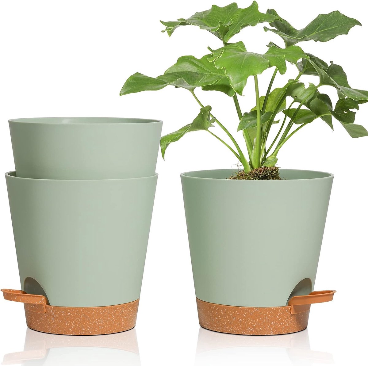 Pot de Fleur en Plastique avec Dessous de Verre, Lot de 6 Pots de Fleurs en  Plastique