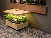 Pluk One Plant-Table | Natural Oak - Indoor gardening tafel. Een unieke woning met urban garden. Office en home.