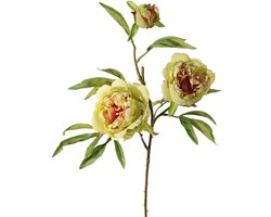 Topart Kunstbloem pioenroos Spring Dream - groen/roze - 73 cm - kunststof