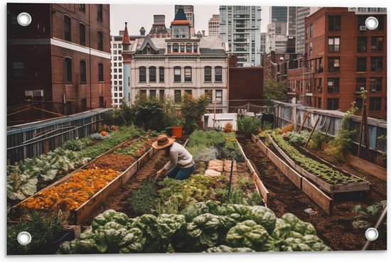 Tuinposter – Balkon - Moestuin - Planten - 60x40 cm Foto op Tuinposter (wanddecoratie voor buiten en binnen)