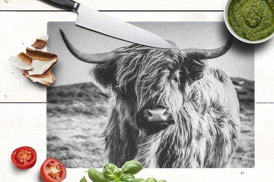 Planche à découper en Verres - 39x28 - Scottish Highlander - Nature - Vache - Zwart - Wit - Planches à découper en Glas