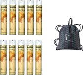 10 x L'Oréal Professionnel - Elnett Satin - 300 ml - Strong - Pack économique + Sac offert