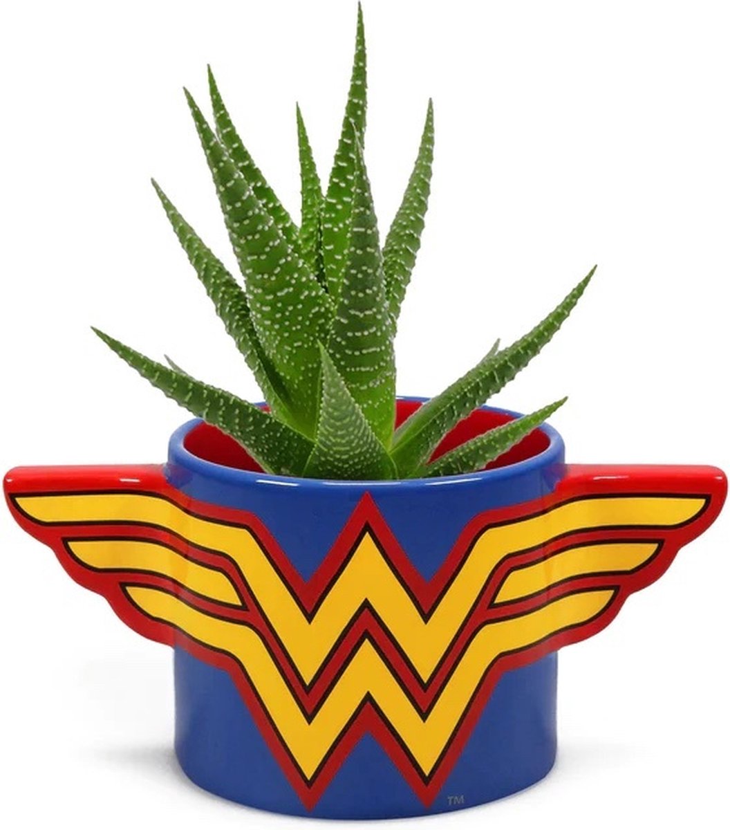 DC Comic Wonderman Bloempot