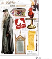 Harry Potter Magneten Albus Dumbledore