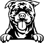 Sticker - Glurende Hond - Stafford Bull Terrier - Zwart - 25x20cm - Peeking Dog