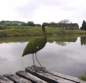 Tuinbeeld -  Ooievaar - Mos