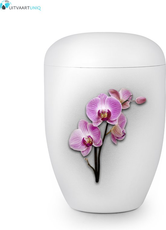 Eco urn wit orchidee - bio (biologisch afbreekbaar)