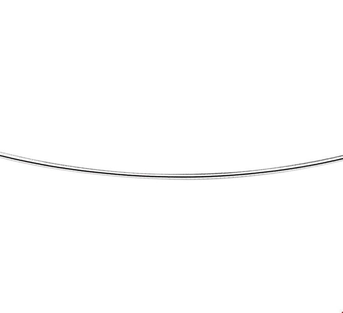 Zilveren Collier omega rond 1 1011441 40 cm