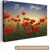 Canvas schilderij - Bloemen - Klaproos - Rood - Zonsondergang - Schilderij bloemen - Foto op canvas - 120x80 cm - Canvasdoek