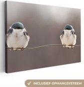 OneMillionCanvasses - Canvas schilderij - Vogel - Dieren - Natuur - Draad - Canvasdoek - 60x40 cm - Foto op canvas