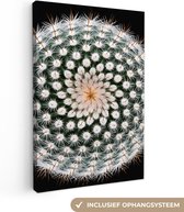 Canvas schilderij - Planten - Cactus - Bloem - Wit - Schilderijen op canvas - Foto op canvas - 90x140 cm - Canvasdoek