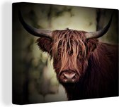 Canvas Schilderij Schotse hooglander - Licht - Portret - Natuur - 120x90 cm - Wanddecoratie