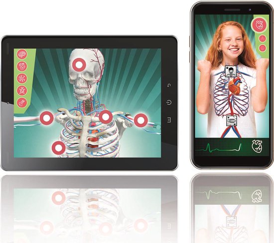 Tablet en smartphone die anatomieprojecties tonen met een skelet en een meisje.