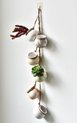 6 stuks mini succulente plantenbakken, 4 "keramische wand- of plafondmontage hangende bloempot met jute touw voor binnen en buiten decor, lichtbeige