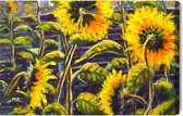 Painting King - Peinture sur toile Fleurs de tournesol telles que peintes - 30 x 20 cm