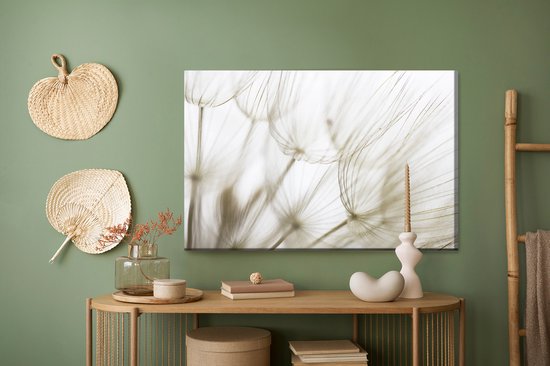 Painting King - Peinture sur toile Graines - 30 x 20 cm