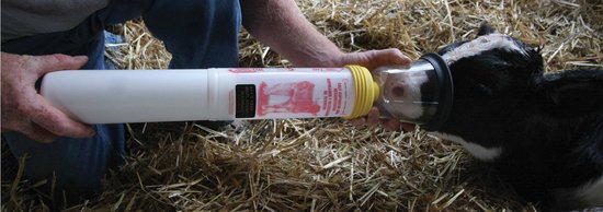 Kalf wordt gevoed uit een witte fles met gele dop en masker. Tekst op de fles: Calf Aspiration & Resuscitation Kit.