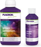 Plagron Auxo green sensation + sugar royal