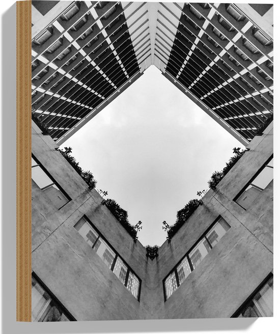 Hout - Onderaanzicht van Binnentuin in Flat (Zwart- wit) - 30x40 cm - 9 mm dik - Foto op Hout (Met Ophangsysteem)
