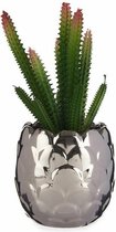 Decoratieve plant Cactus Keramisch Plastic 10 x 20 x 10 cm (6 Stuks)