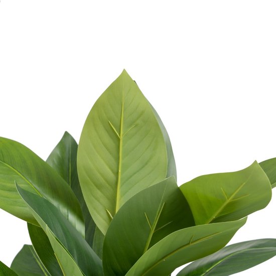 plant décorative 50 x 45 x 48 cm PVC vert