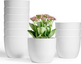 12 cm zelfbewaterende bloempot, wit, set van 10 stuks, zelfbewatering, plantenbak, plantenpot voor binnen en buiten