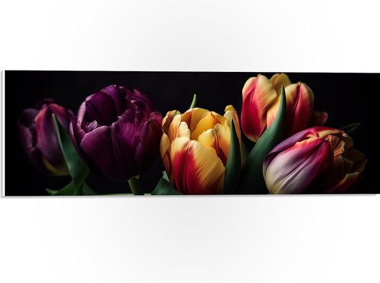 PVC Schuimplaat - Diverse Gekleurde Tulpen in het Donker - Bloemen - 60x20 cm Foto op PVC Schuimplaat (Met Ophangsysteem)