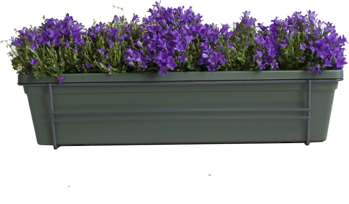 Merkloos Campanula Addenda Lavender in ELHO Green Basics balkonbak (Bladgroen) met metalen balkonrek ↨ 30cm hoge kwaliteit planten