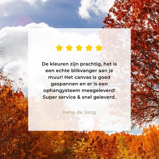 Tableau sur toile Arbre - Chemin - Automne - 30x20 cm - Décoration murale