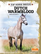 Top Horse Breeds - Dutch Warmblood