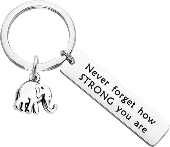Porte-clés - Tu es fort - N'oublie jamais à quel point tu es fort - Éléphant - Argent - Cadeau - Fort - Amour - Amour