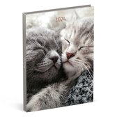 Lannoo Graphics - Diary 2024 - Agenda 2024 - MY FAVOURITE FRIENDS - Cat Hug - 7d/2p - 4Talig - 110 x 150 mm