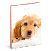 Lannoo Graphics - Diary 2024 - Agenda 2024 - MY FAVOURITE FRIENDS - Dog Golden Retriever - 7d/2p - 4Talig - 110 x 150 mm