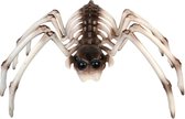 Smiffys - Spider Skeleton Prop Feestdecoratie - Beige/Bruin