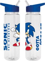 Sonic the Hedgehog - Bouteille en plastique (Gotta to Go Fast) 700ml