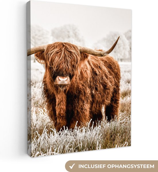 Giclée/reproductie Schotse Hooglander rood met certificaat Giclée/reproductie Schotse Hooglander rood met certificaat