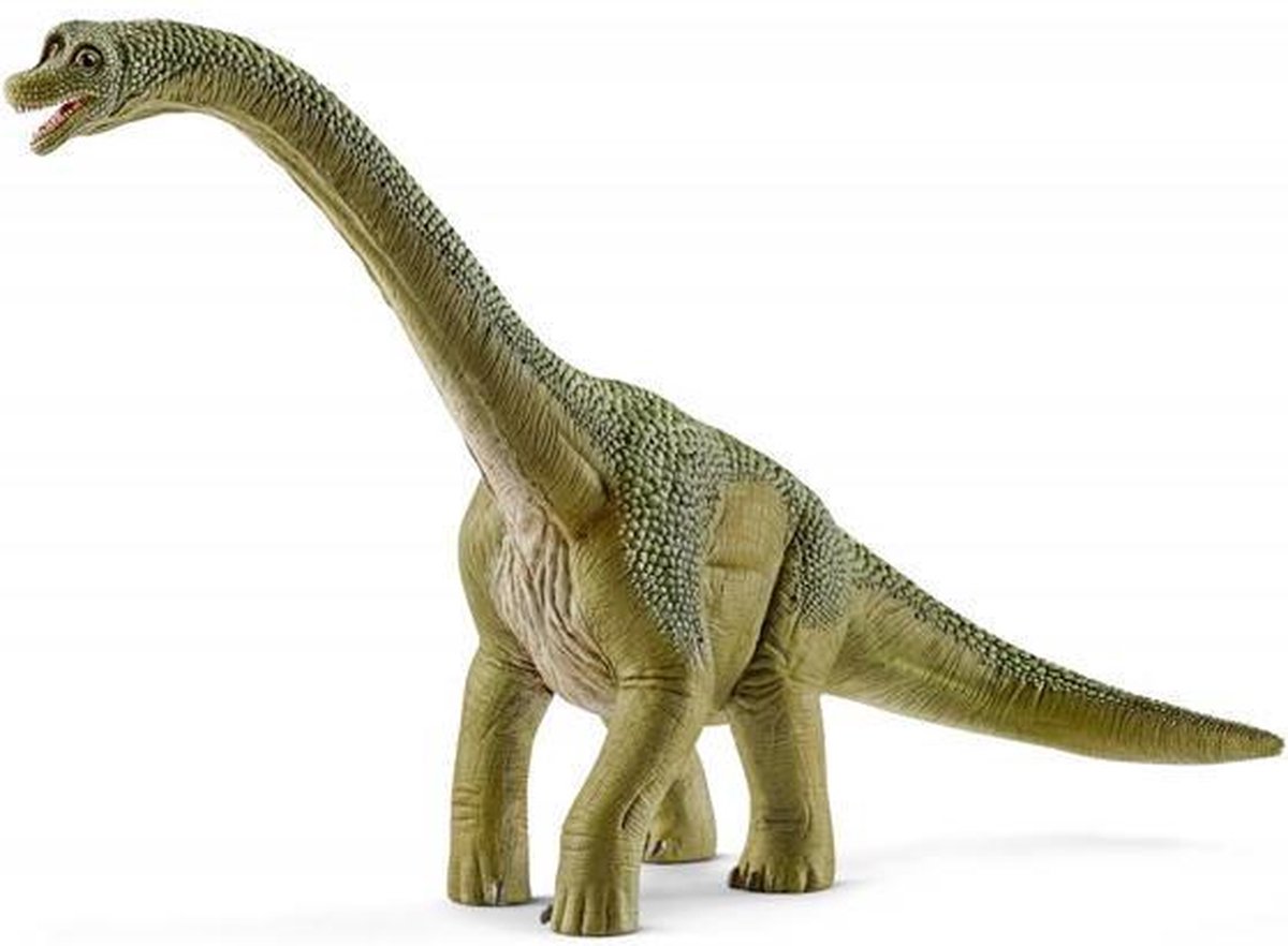 schleich DINOSAURUS Speelfiguur - Brachiosaurus - Dino Speelgoed - Kinderspeelgoed voor Jongens en Meisjes - vanaf 4 jaar - 14581 — afbeelding 13