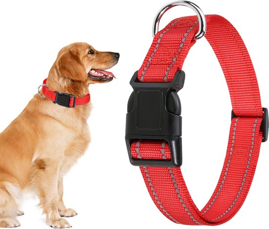 Rode hondenhalsband met reflecterende stiksels, naast een zittende golden retriever.