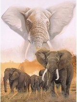 TOPMO Peinture au diamant - Éléphant avec un faisceau lumineux - plein 40x50cm